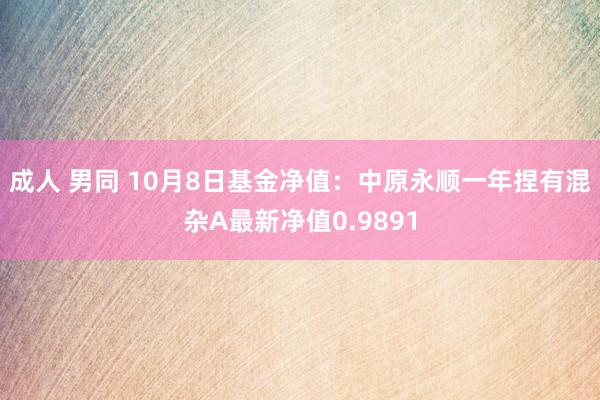 成人 男同 10月8日基金净值：中原永顺一年捏有混杂A最新净值0.9891