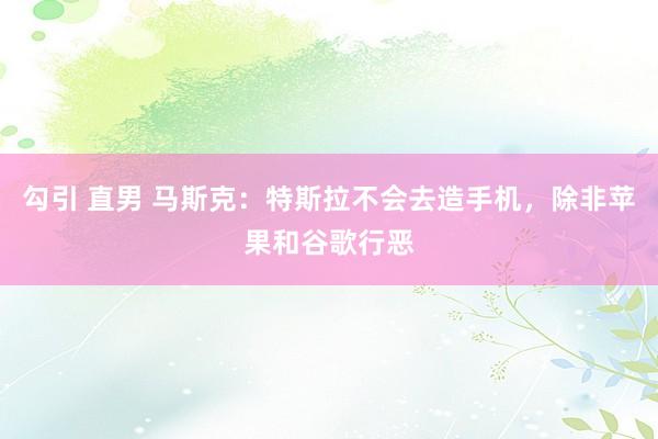 勾引 直男 马斯克：特斯拉不会去造手机，除非苹果和谷歌行恶