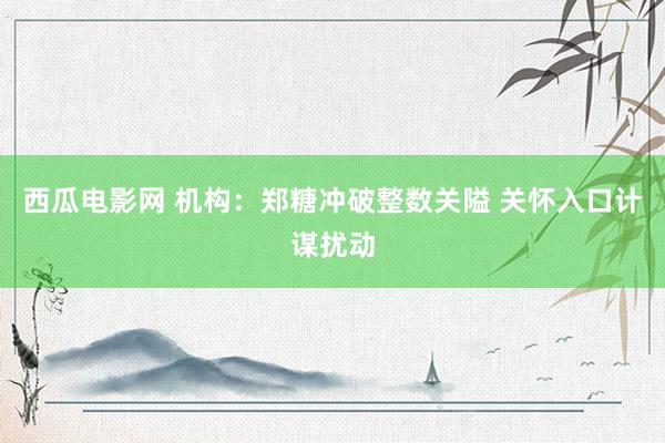 西瓜电影网 机构：郑糖冲破整数关隘 关怀入口计谋扰动