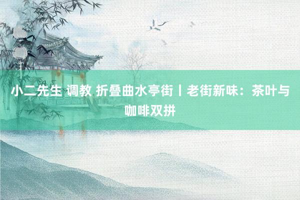 小二先生 调教 折叠曲水亭街丨老街新味：茶叶与咖啡双拼