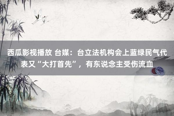 西瓜影视播放 台媒：台立法机构会上蓝绿民气代表又“大打首先”，有东说念主受伤流血