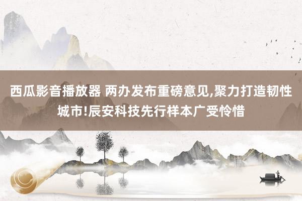 西瓜影音播放器 两办发布重磅意见，聚力打造韧性城市!辰安科技先行样本广受怜惜