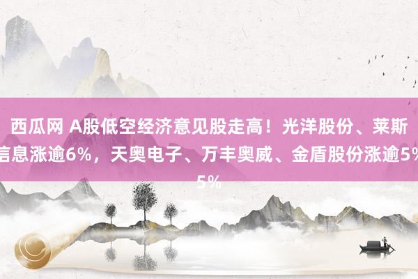 西瓜网 A股低空经济意见股走高！光洋股份、莱斯信息涨逾6%，天奥电子、万丰奥威、金盾股份涨逾5%