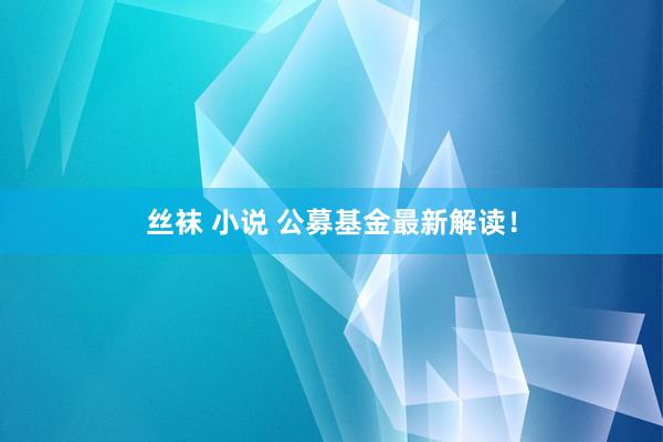 丝袜 小说 公募基金最新解读！