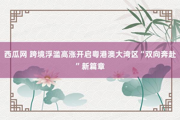 西瓜网 跨境浮滥高涨开启粤港澳大湾区“双向奔赴”新篇章