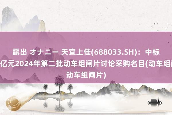 露出 オナニー 天宜上佳(688033.SH)：中标1.23亿元2024年第二批动车组闸片讨论采购名目(动车组闸片)