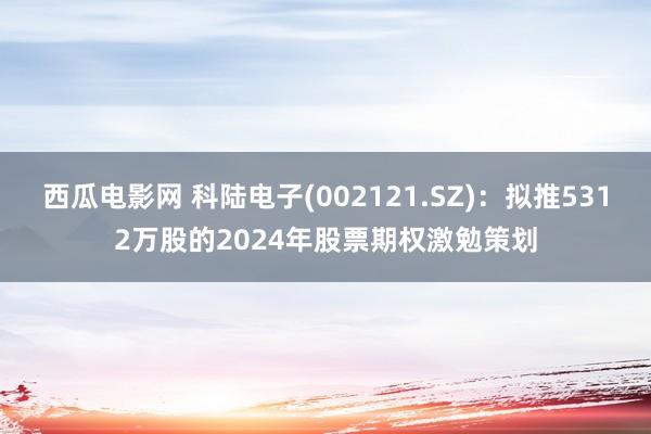 西瓜电影网 科陆电子(002121.SZ)：拟推5312万股的2024年股票期权激勉策划