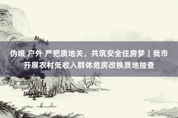 伪娘 户外 严把质地关，共筑安全住房梦｜我市开展农村低收入群体危房改换质地抽查
