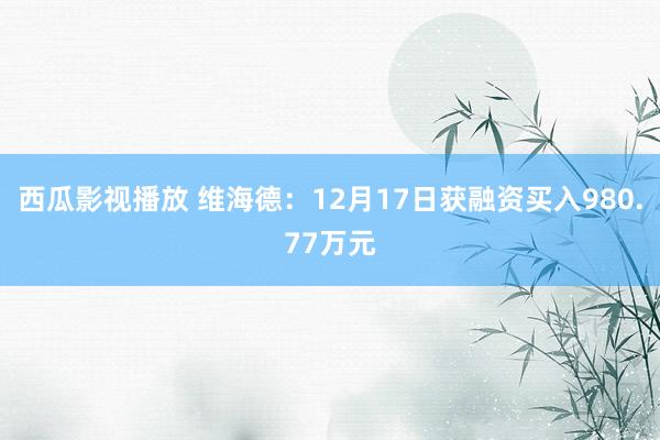 西瓜影视播放 维海德：12月17日获融资买入980.77万元