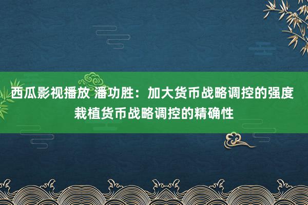 西瓜影视播放 潘功胜：加大货币战略调控的强度 栽植货币战略调控的精确性