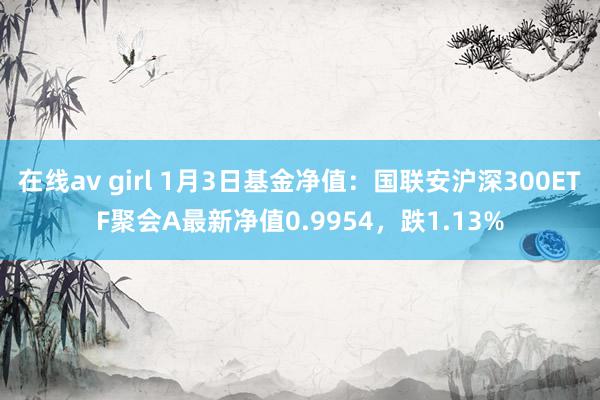 在线av girl 1月3日基金净值：国联安沪深300ETF聚会A最新净值0.9954，跌1.13%