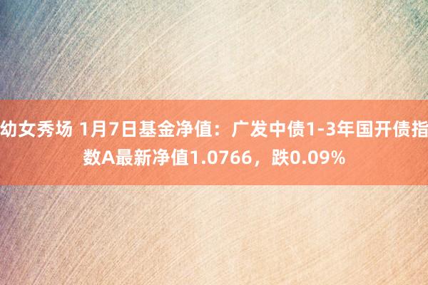 幼女秀场 1月7日基金净值：广发中债1-3年国开债指数A最新净值1.0766，跌0.09%