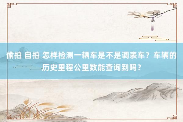偷拍 自拍 怎样检测一辆车是不是调表车？车辆的历史里程公里数能查询到吗？