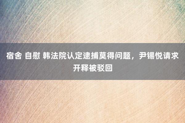 宿舍 自慰 韩法院认定逮捕莫得问题，尹锡悦请求开释被驳回
