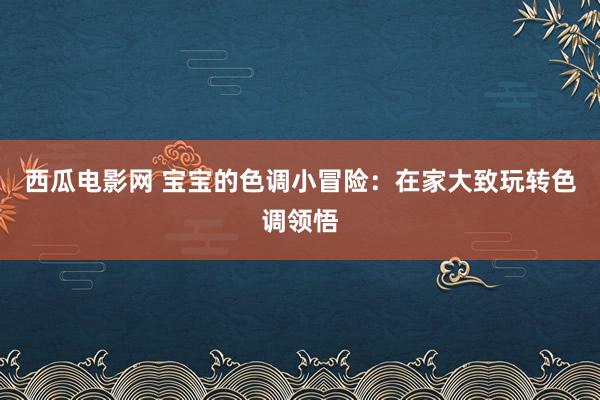 西瓜电影网 宝宝的色调小冒险：在家大致玩转色调领悟