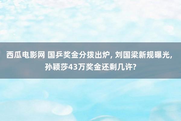 西瓜电影网 国乒奖金分拨出炉, 刘国梁新规曝光, 孙颖莎43万奖金还剩几许?
