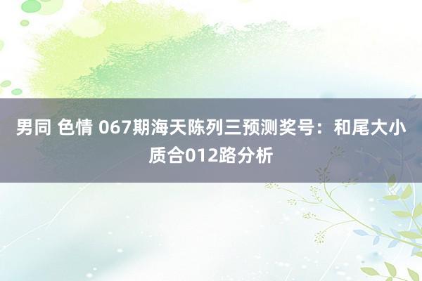 男同 色情 067期海天陈列三预测奖号：和尾大小质合012路分析