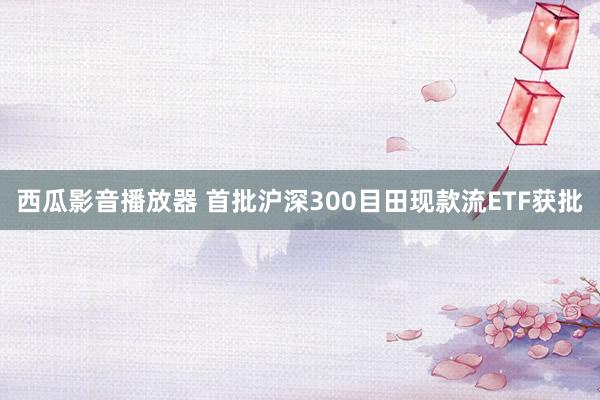 西瓜影音播放器 首批沪深300目田现款流ETF获批