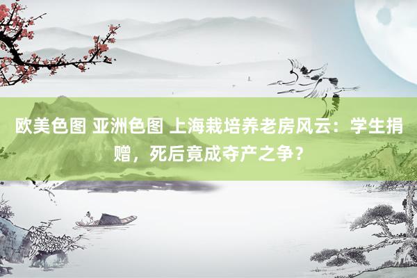 欧美色图 亚洲色图 上海栽培养老房风云：学生捐赠，死后竟成夺产之争？