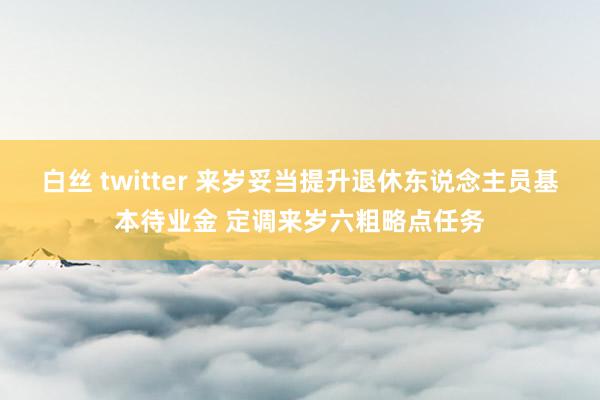 白丝 twitter 来岁妥当提升退休东说念主员基本待业金 定调来岁六粗略点任务