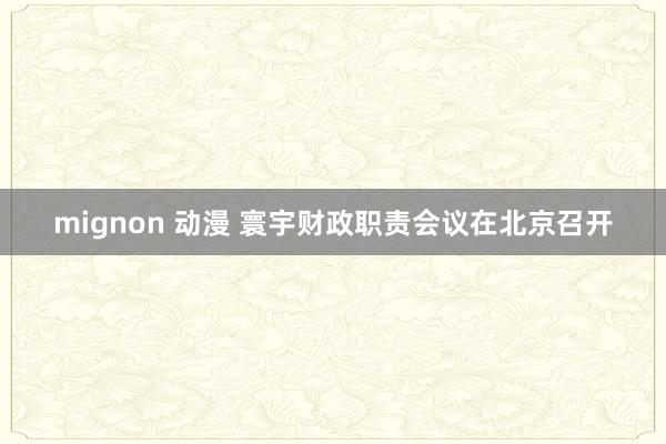 mignon 动漫 寰宇财政职责会议在北京召开
