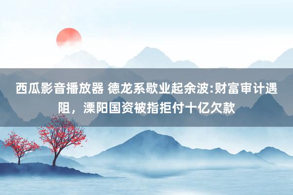 西瓜影音播放器 德龙系歇业起余波:财富审计遇阻，溧阳国资被指拒付十亿欠款