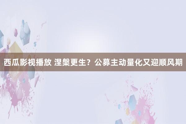 西瓜影视播放 涅槃更生？公募主动量化又迎顺风期