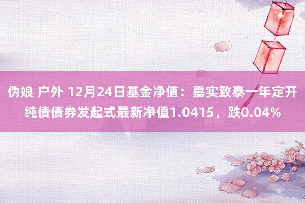 伪娘 户外 12月24日基金净值：嘉实致泰一年定开纯债债券发起式最新净值1.0415，跌0.04%