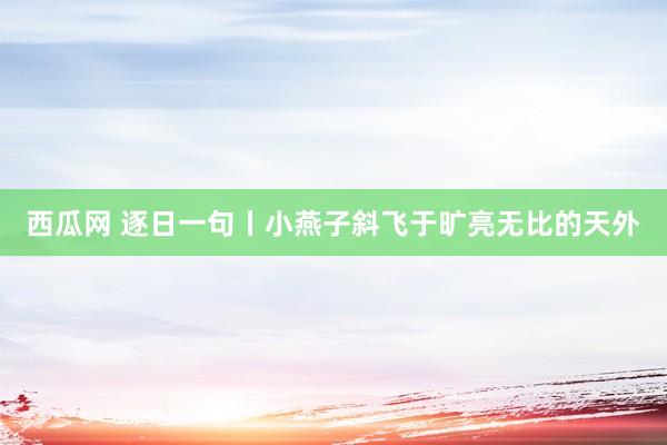 西瓜网 逐日一句丨小燕子斜飞于旷亮无比的天外