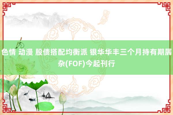 色情 动漫 股债搭配均衡派 银华华丰三个月持有期羼杂(FOF)今起刊行