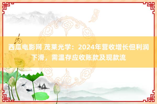西瓜电影网 茂莱光学：2024年营收增长但利润下滑，需温存应收账款及现款流