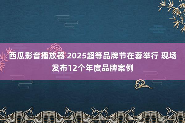 西瓜影音播放器 2025超等品牌节在蓉举行 现场发布12个年度品牌案例