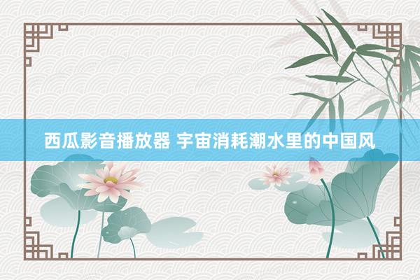 西瓜影音播放器 宇宙消耗潮水里的中国风