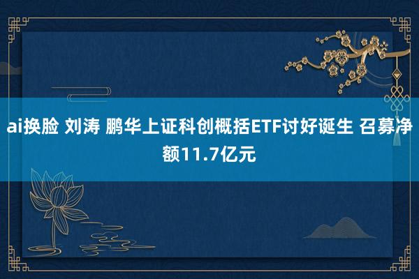 ai换脸 刘涛 鹏华上证科创概括ETF讨好诞生 召募净额11.7亿元