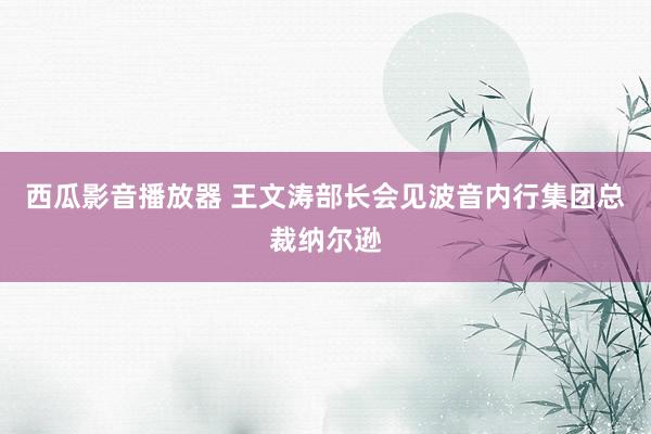 西瓜影音播放器 王文涛部长会见波音内行集团总裁纳尔逊